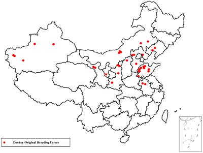 A survey report on the donkey original breeding farms in China: Current aspects and future prospective